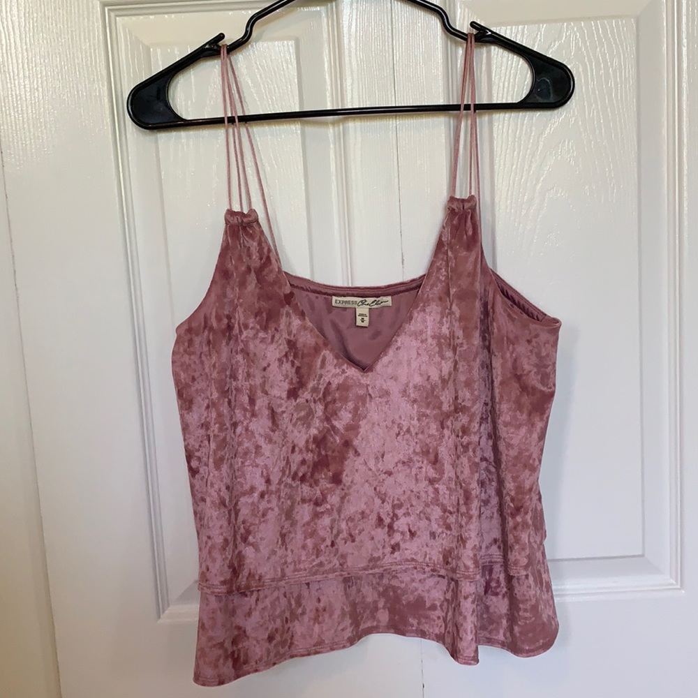 Express Velour Blouse